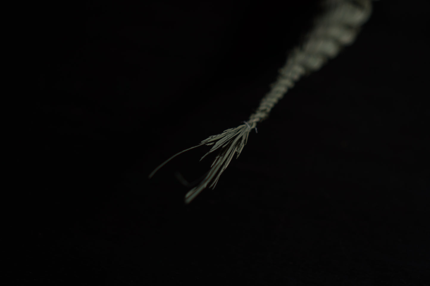 しめ縄飾り＿大根じめ